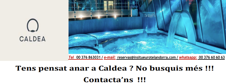 caldea-banner.jpg